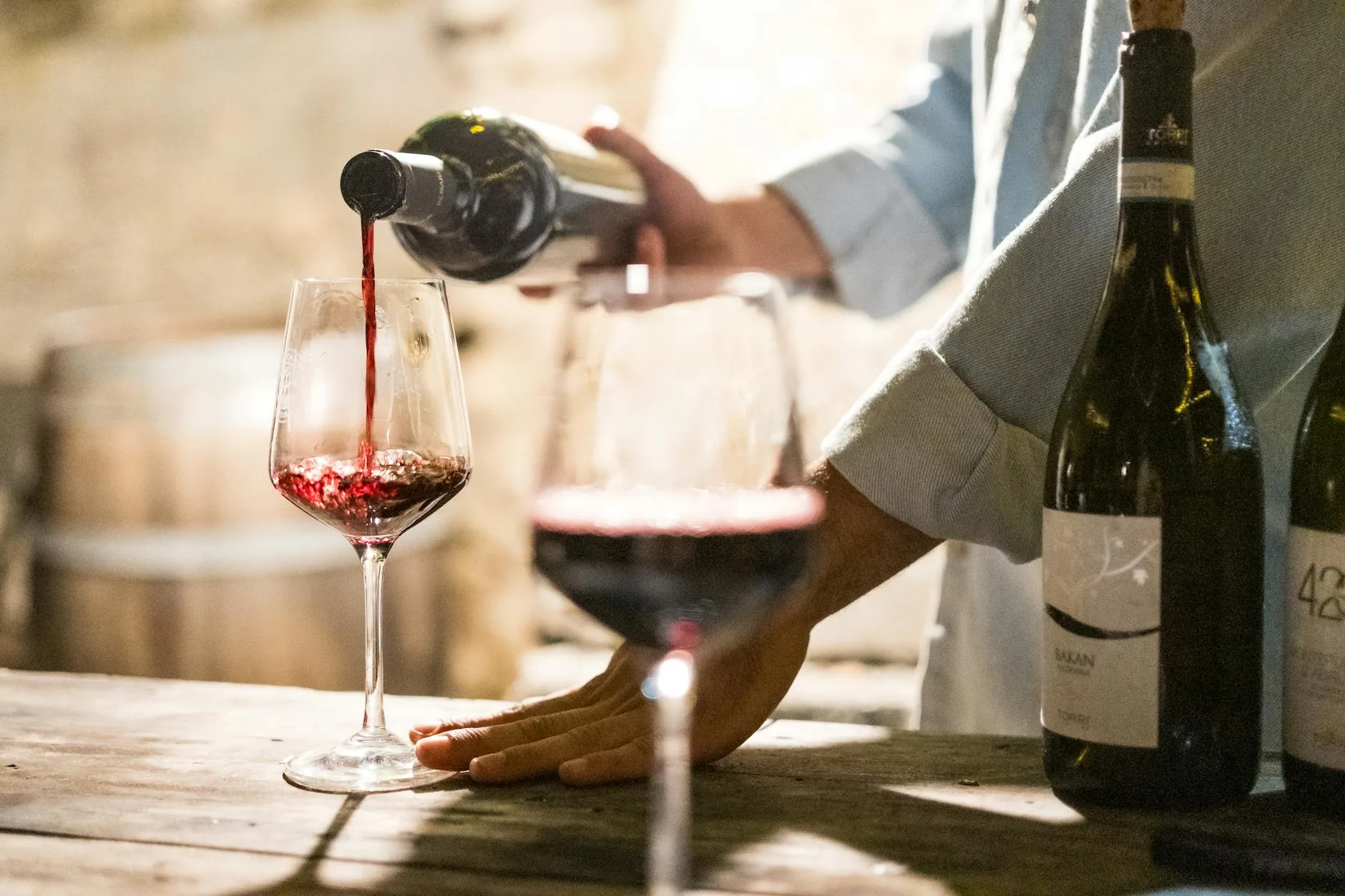 Bars à vins et cave à dégustations