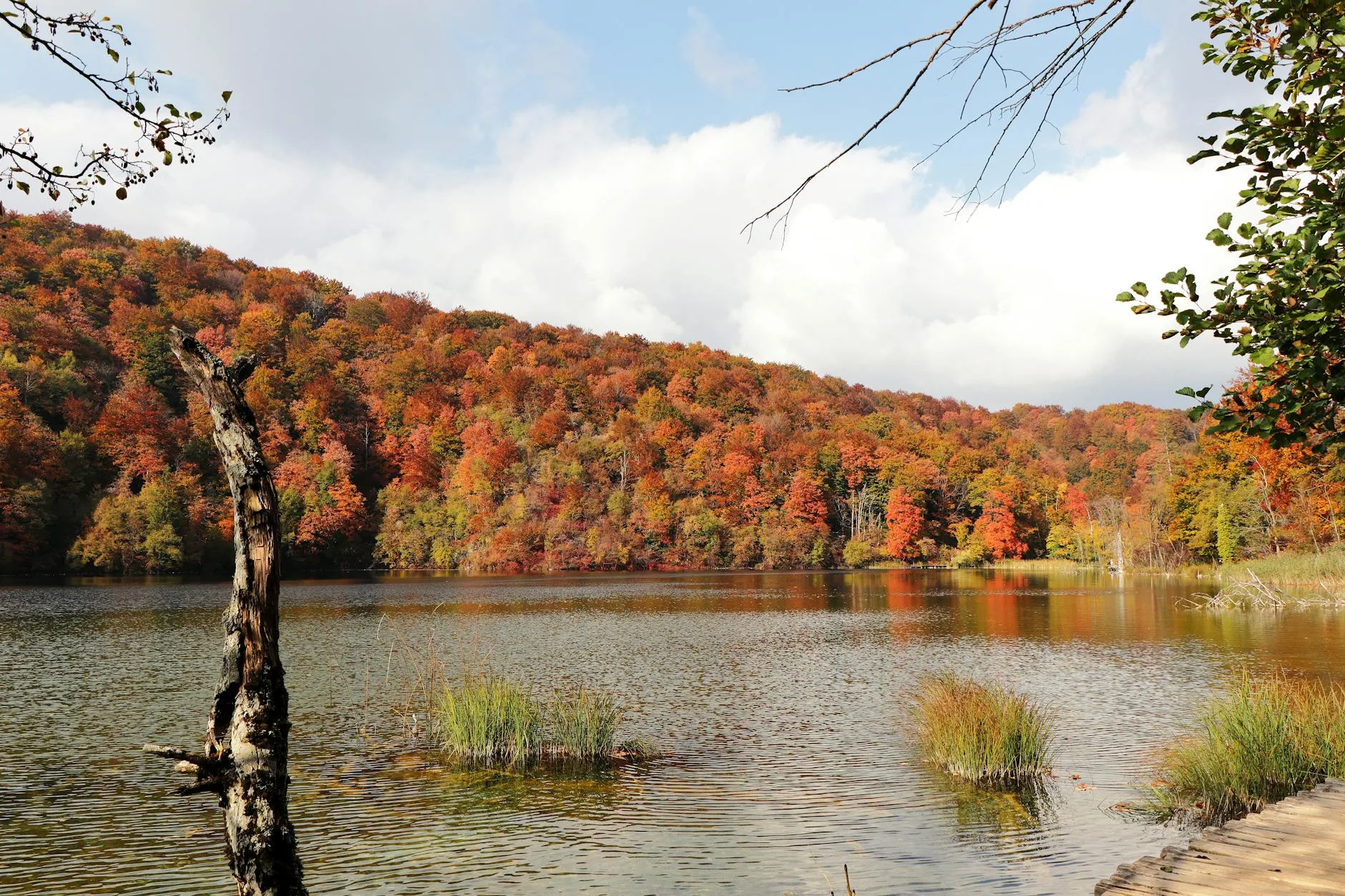 Le lac Parz : balade dans le parc national